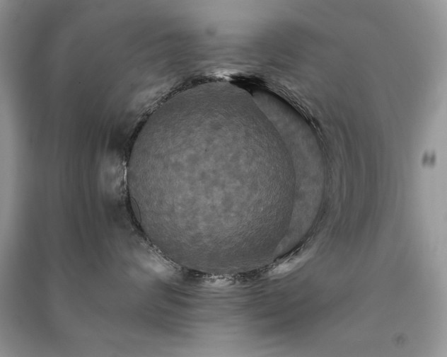 X0000091080624200708131258