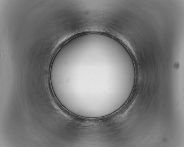 X0000091080625200708131257