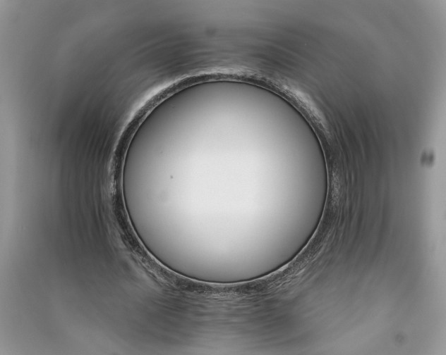 X0000091080628200708131257