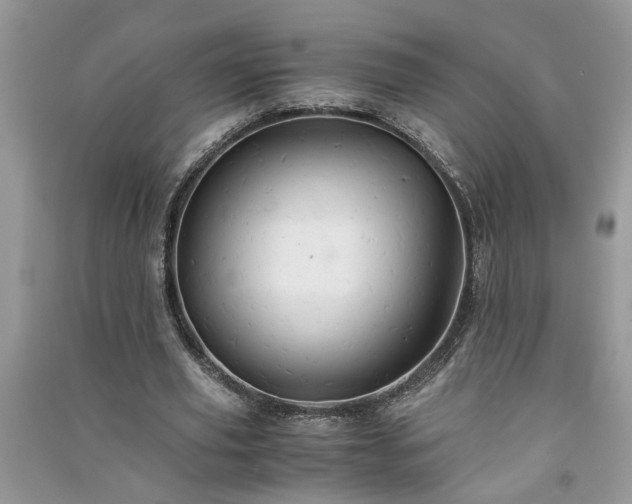 X0000091080629200708131257