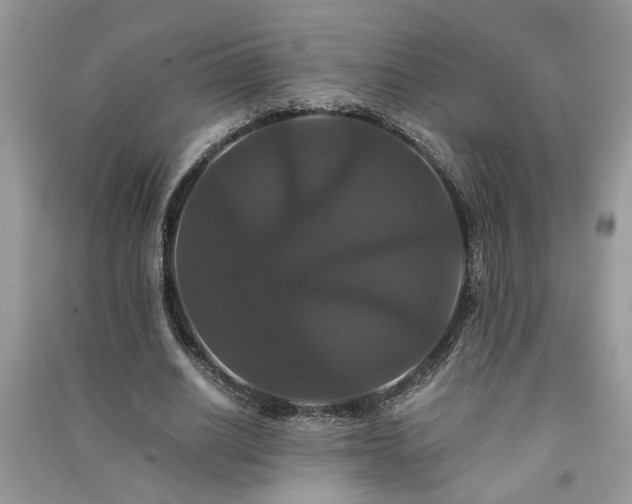 X0000091080630200708131257