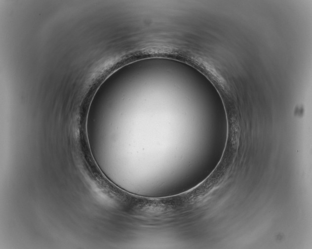 X0000091080631200708131257