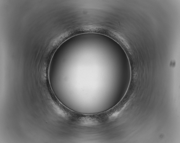 X0000091080633200708131257