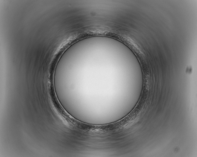 X0000091080634200708131257