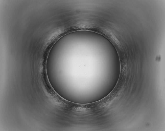 X0000091080635200708131257