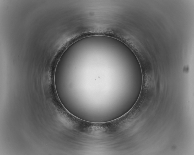 X0000091080636200708131257