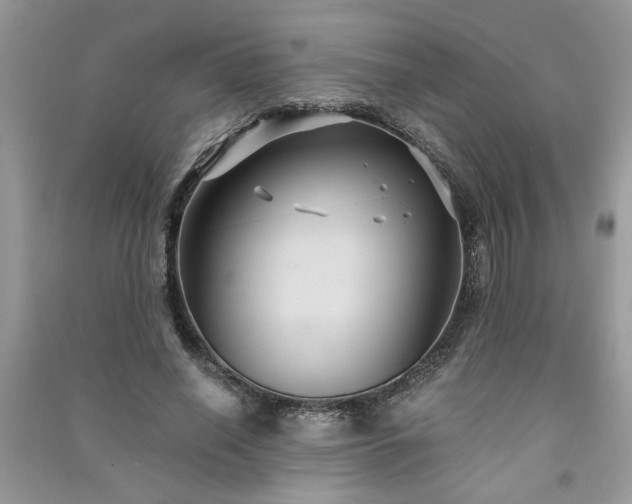 X0000091080638200708131257