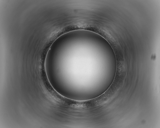 X0000091080639200708131257