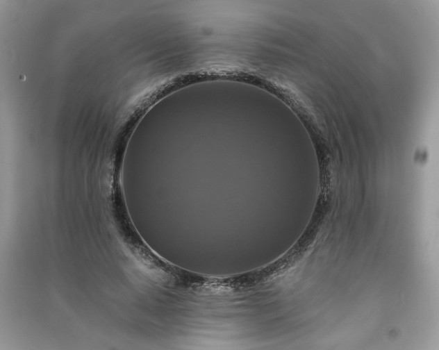 X0000091080640200708131257