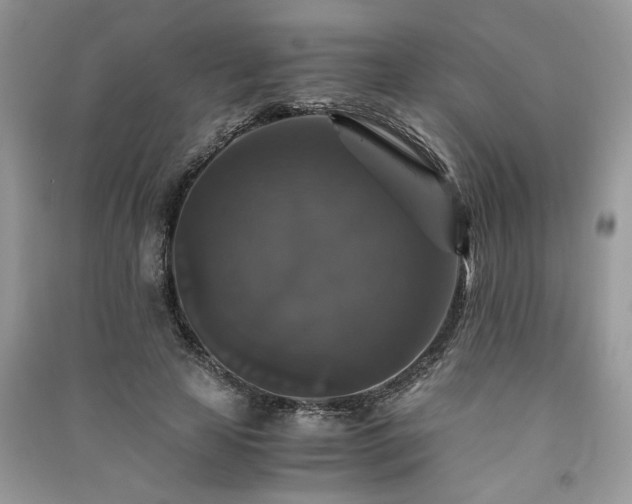 X0000091080641200708131257