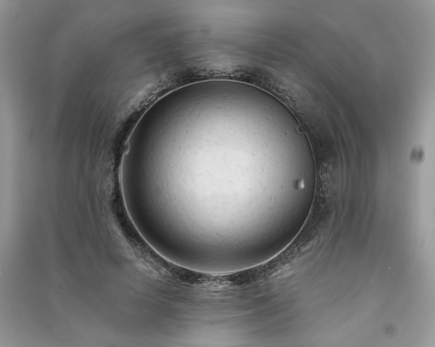 X0000091080642200708131257