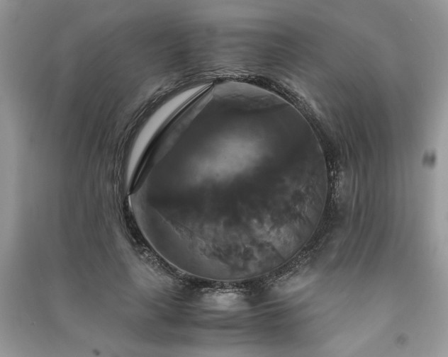 X0000091080643200708131257