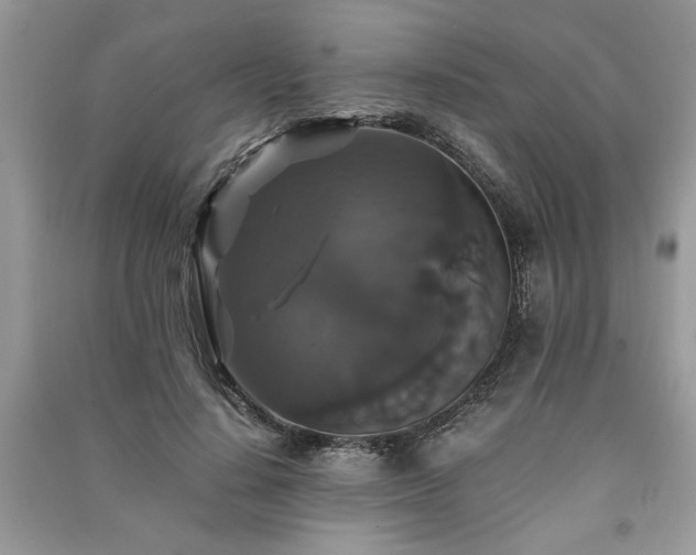 X0000091080644200708131257