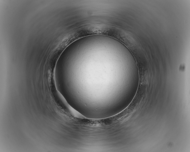 X0000091080646200708131257