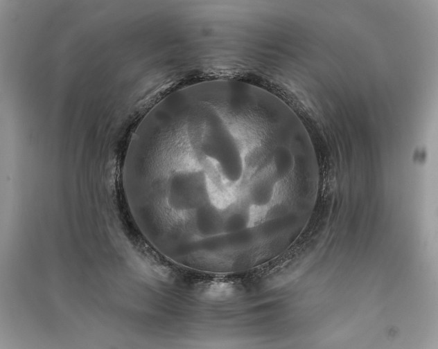 X0000091080647200708131257