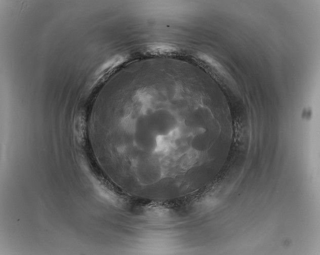 X0000091080648200708131257