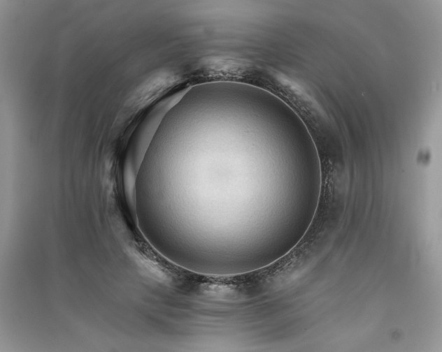 X0000091080649200708131257