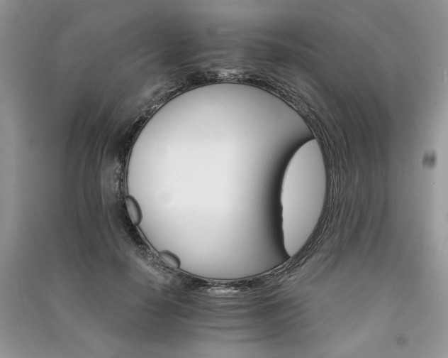 X0000091080650200708131257