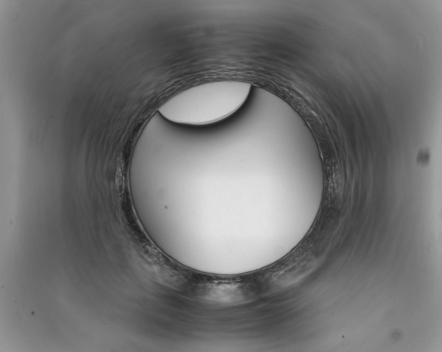 X0000091080651200708131257