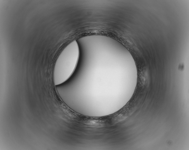 X0000091080657200708131257