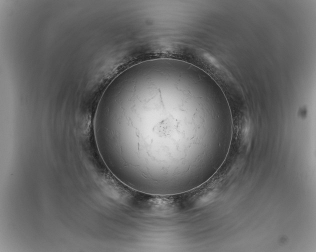 X0000091080660200708131257