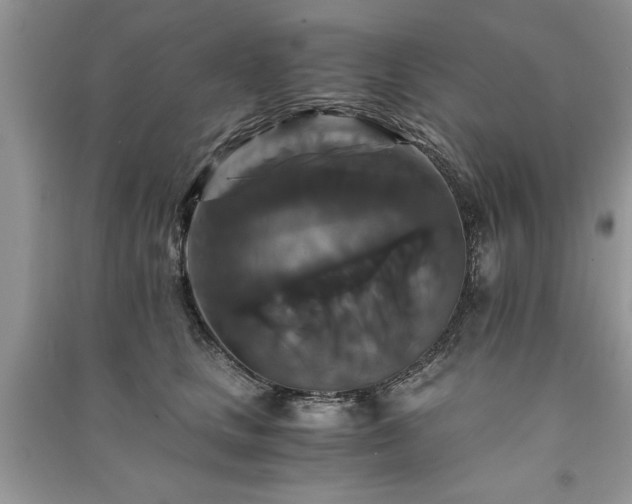 X0000091080661200708131257