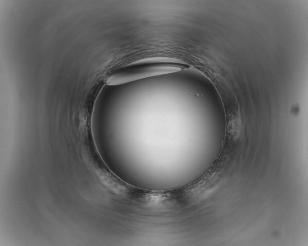 X0000091080662200708131257