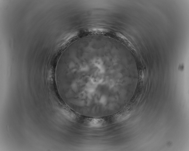 X0000091080663200708131257