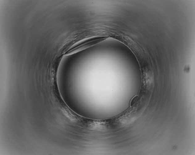 X0000091080664200708131257