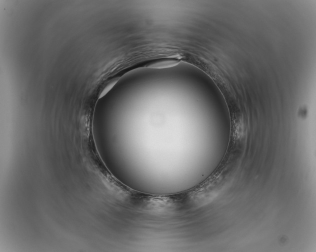 X0000091080666200708131257