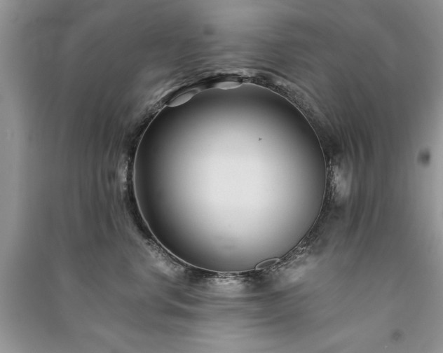 X0000091080668200708131257