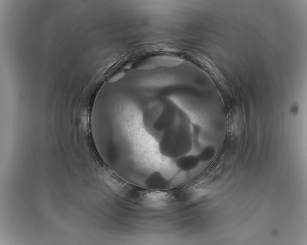 X0000091080669200708131258