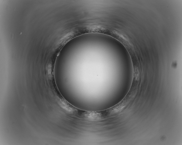 X0000091080670200708131258