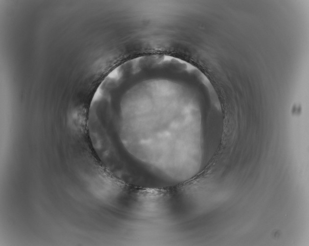 X0000091080672200708131258