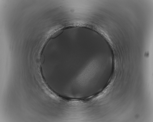 X0000091080673200708131257