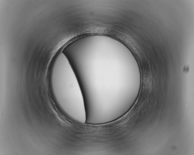 X0000091080674200708131257