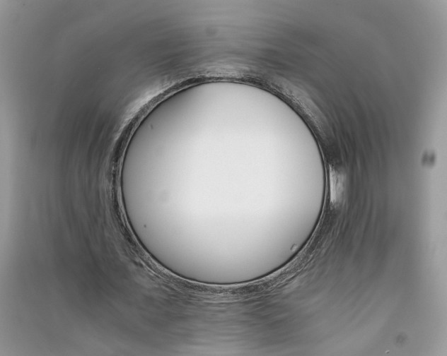 X0000091080675200708131257