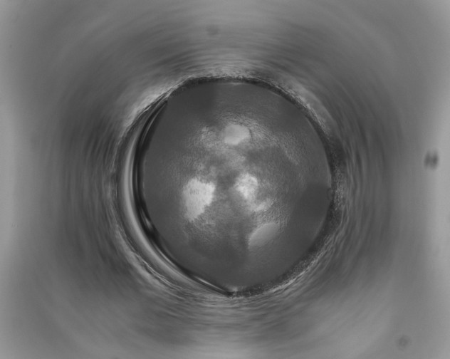 X0000091080677200708131257