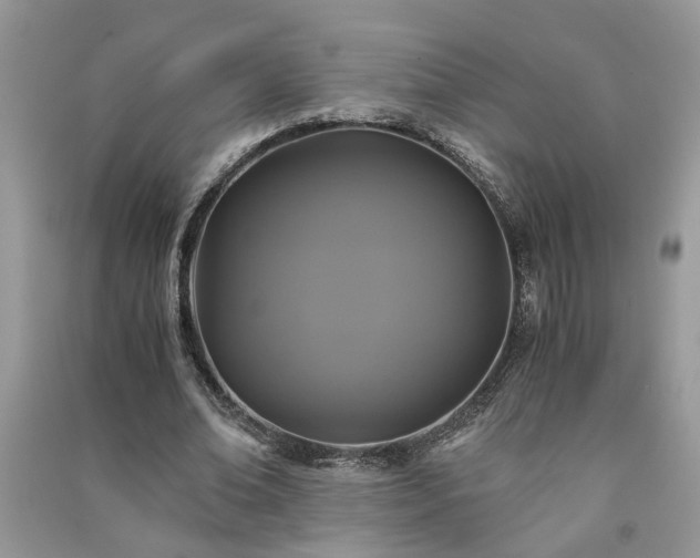 X0000091080678200708131257