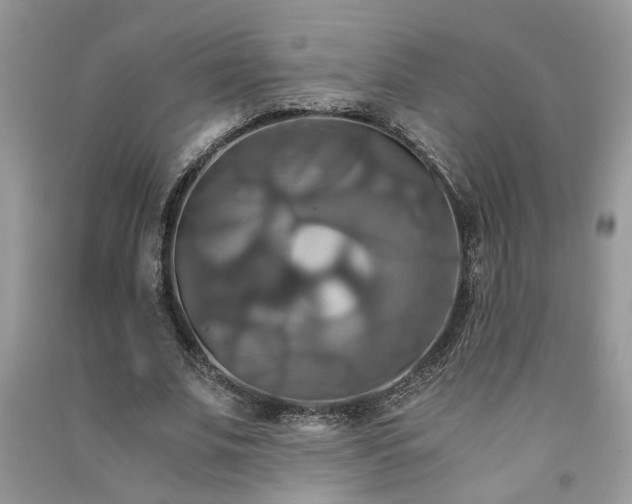 X0000091080679200708131257