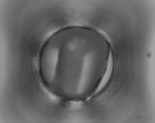 X0000091080680200708131257