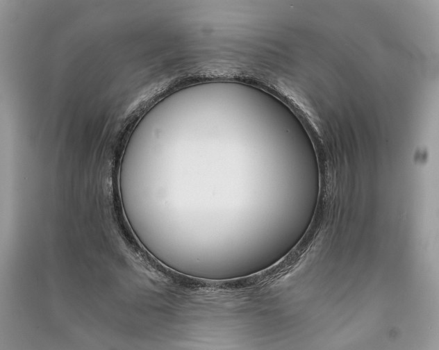 X0000091080681200708131257