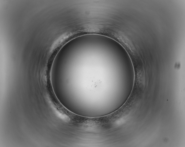 X0000091080682200708131257