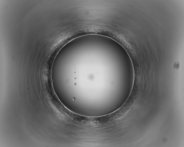 X0000091080683200708131256