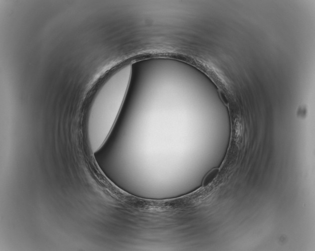 X0000091080684200708131256