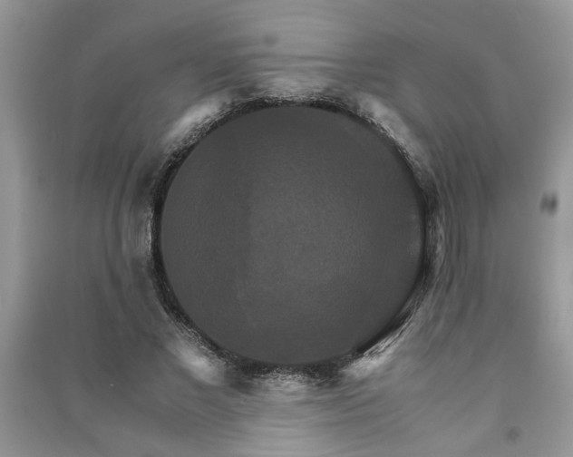 X0000091080685200708131256