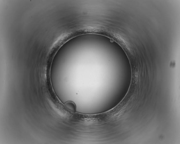 X0000091080686200708131256