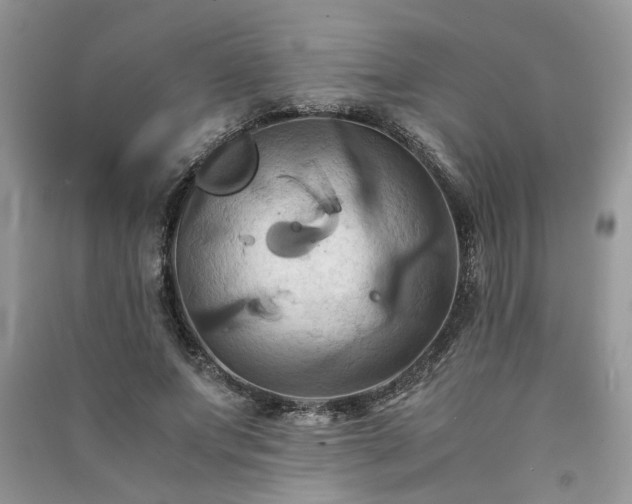 X0000091080687200708131256