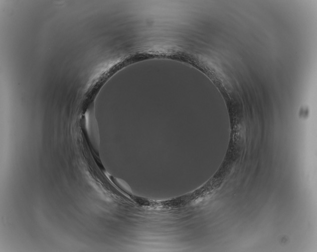 X0000091080688200708131256