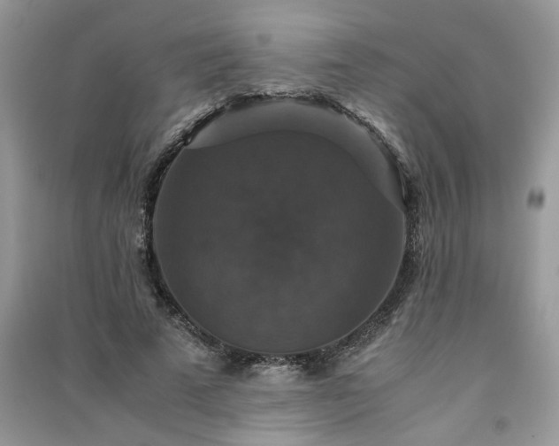 X0000091080689200708131256